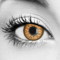 Hazel Autumn Contact Lenses - Bella