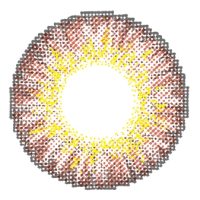 chic brown contact lenses