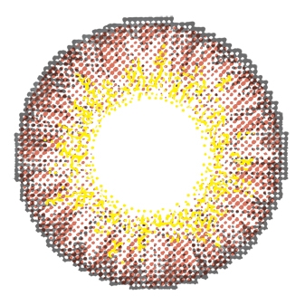 chic brown contact lenses