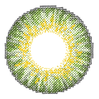 chic green contact lenses