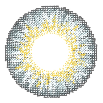 chic gray contact lenses