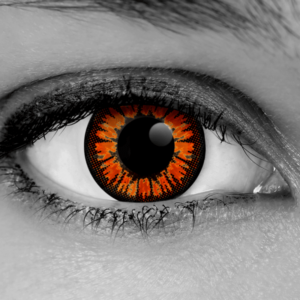 golden twilight lenses