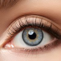 gray contacts